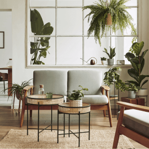 Personalized Workout Plans