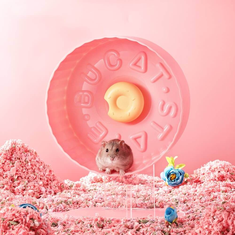 Hamster Exercise Wheel (Silent Spin)